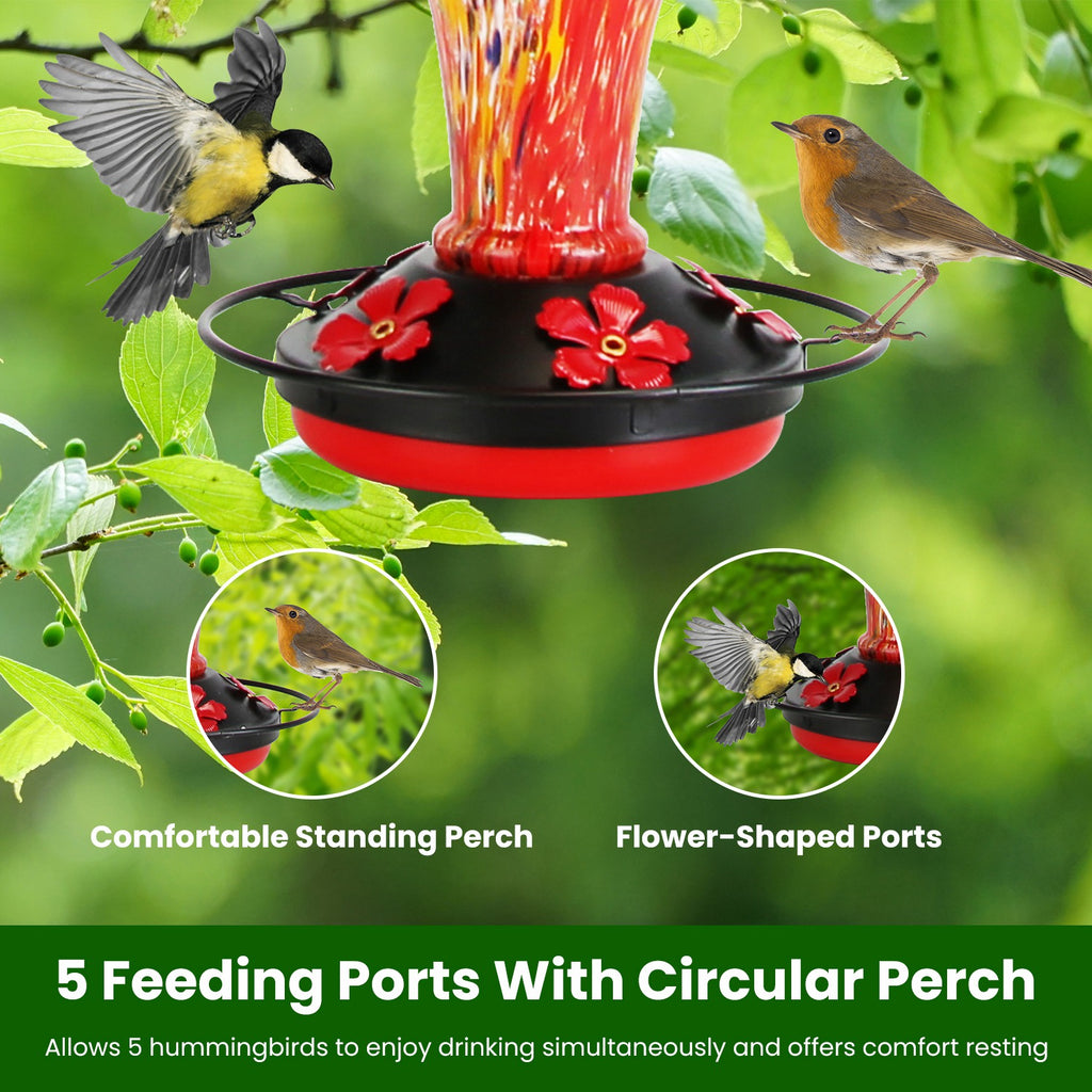 Hand Blown Glass Hummingbird Feeder, 33 oz, 5 Ports