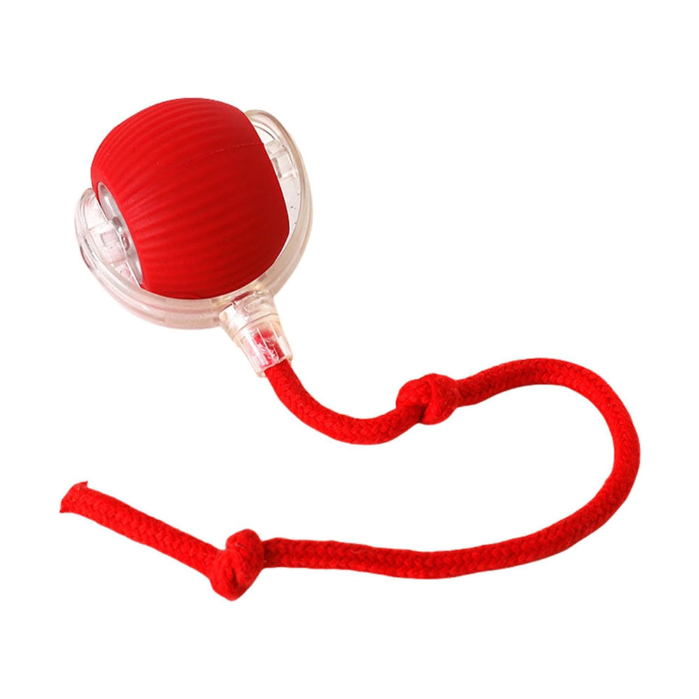 Interactive Rolling Cat Ball with Rope Tail