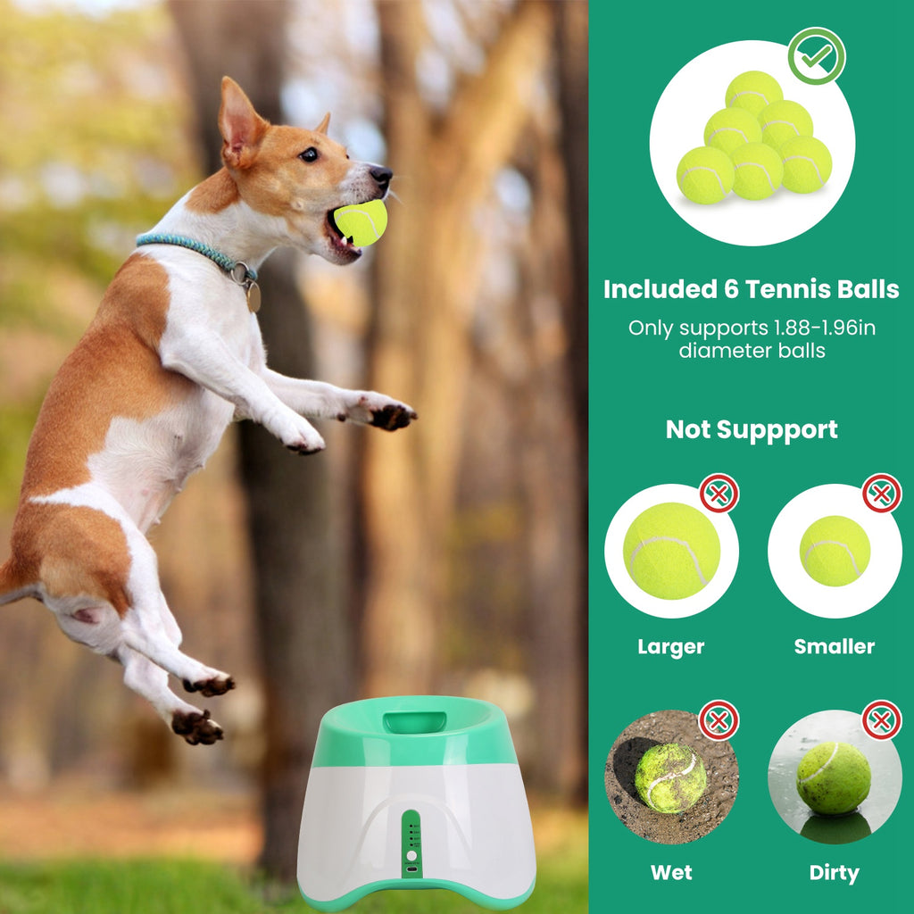 Automatic Dog Ball Launcher with 3 Distances and 6 Tennis Balls