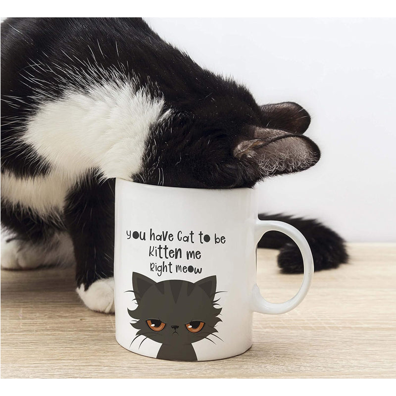 Cat To Be Kitten Me Funny Cat Lover Ceramic Coffee Mug 11 oz