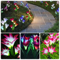 Solar Garden Lily Flower Lights, 2-Pack