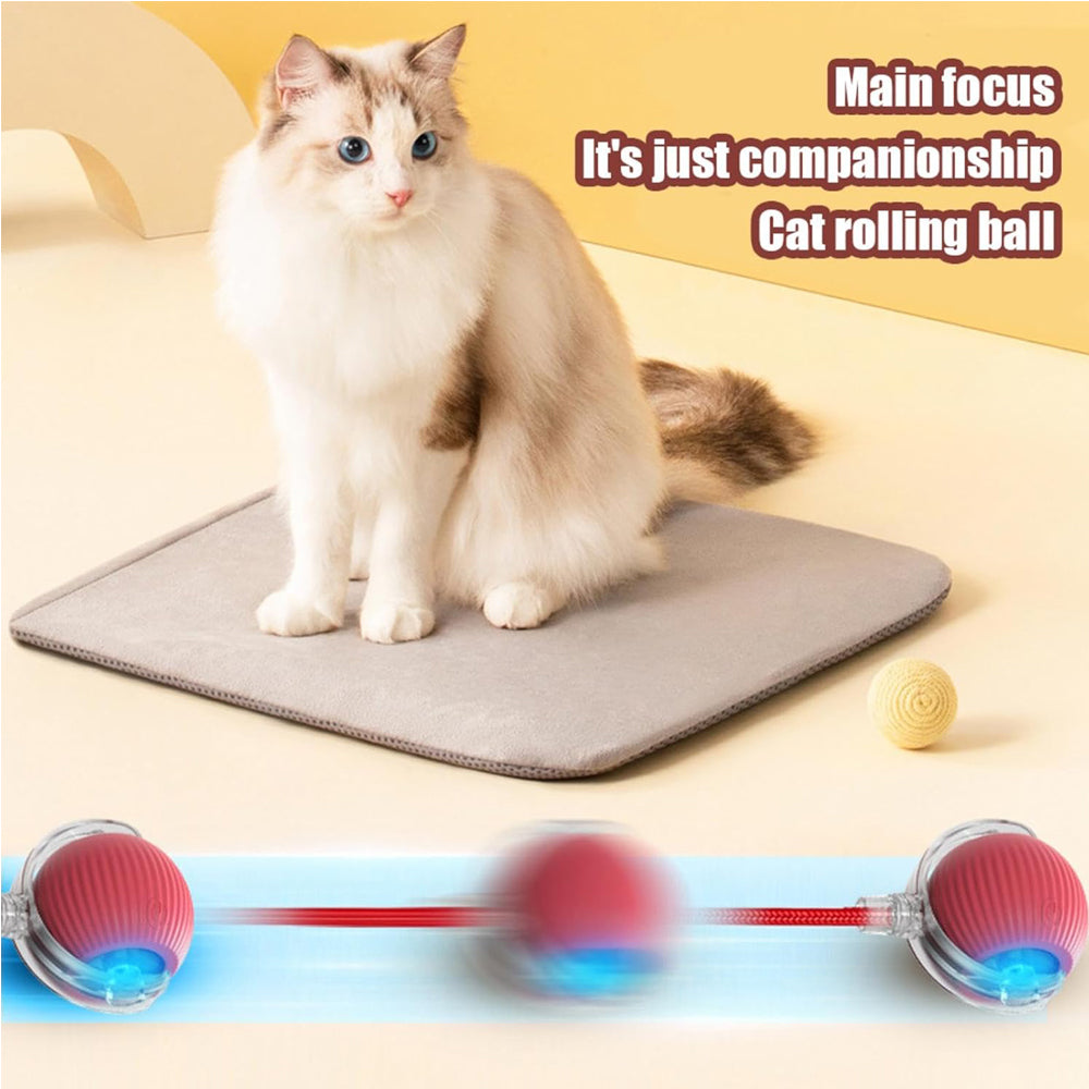 Interactive Rolling Cat Ball with Rope Tail