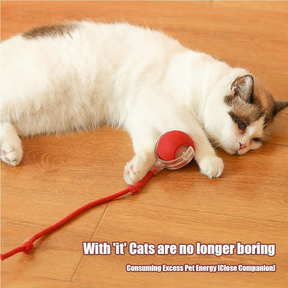 Interactive Rolling Cat Ball with Rope Tail