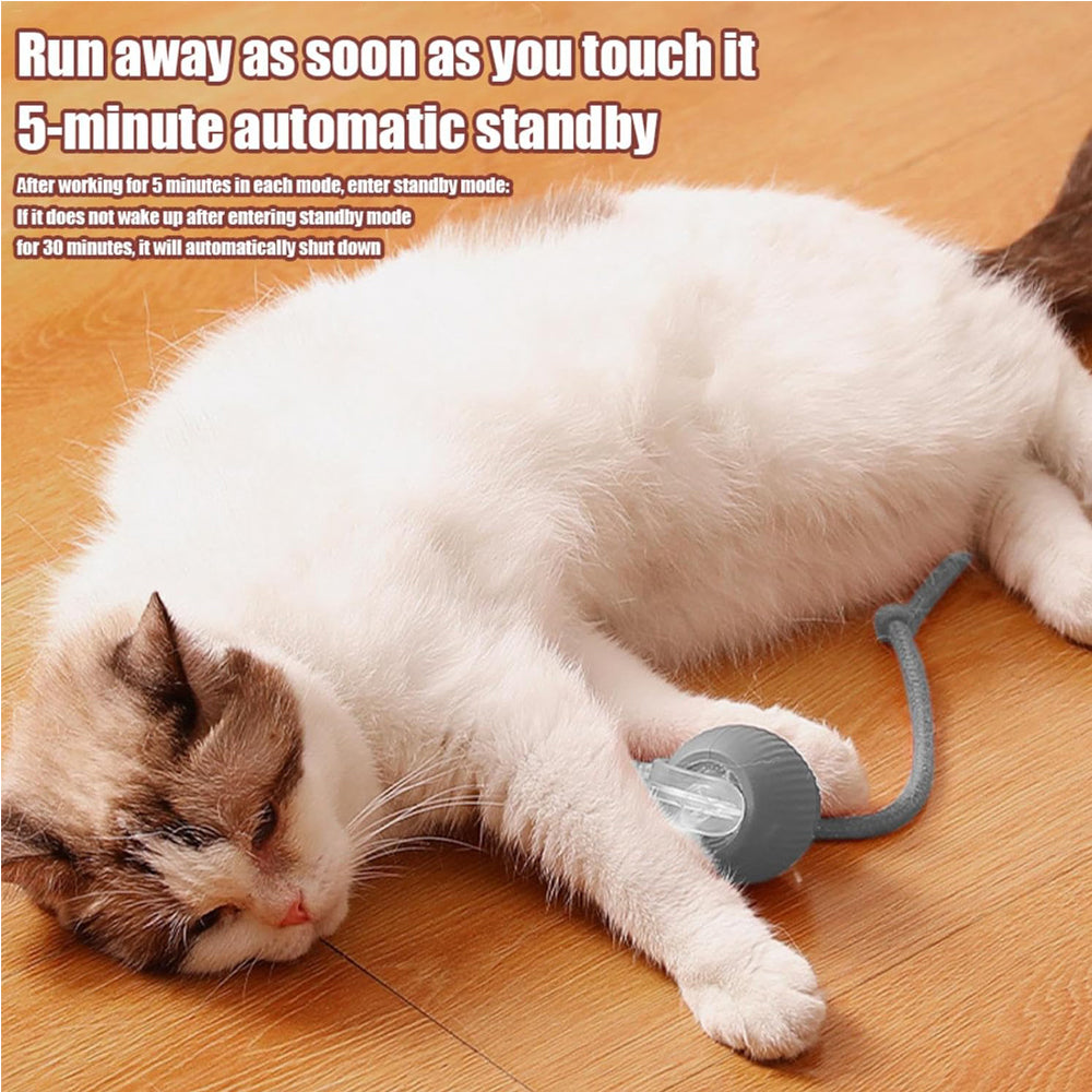 Interactive Rolling Cat Ball with Rope Tail
