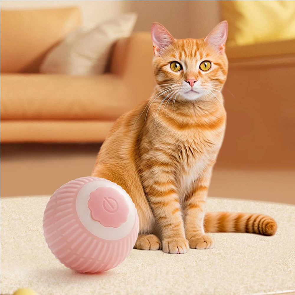 Self-Rolling Interactive Cat Ball, USB Rechargeable