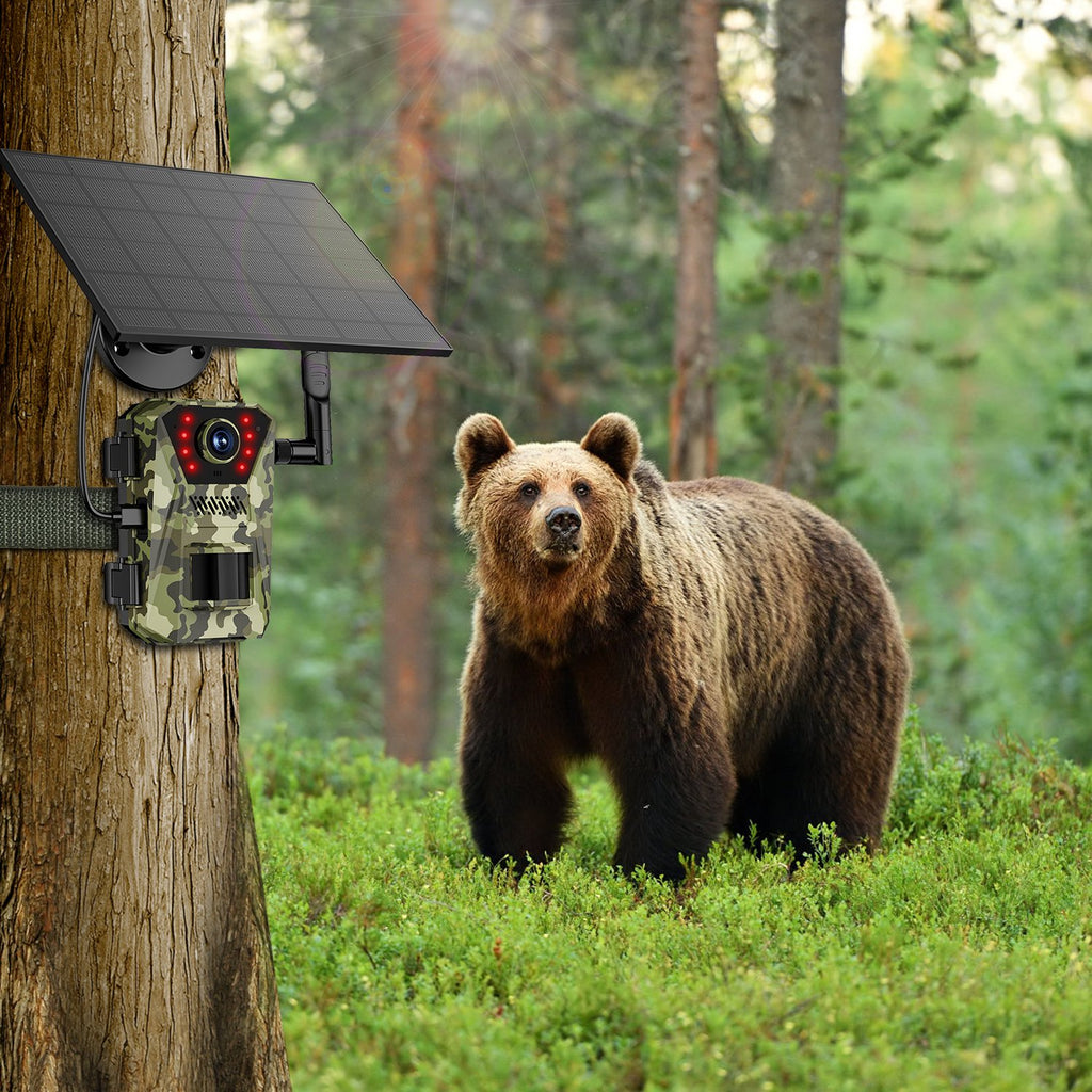 4G 4K Solar Trail Camera, Wildlife Outdoor