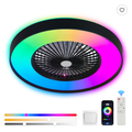 Smart RGB Ceiling Fan Light, 23in Dimmable