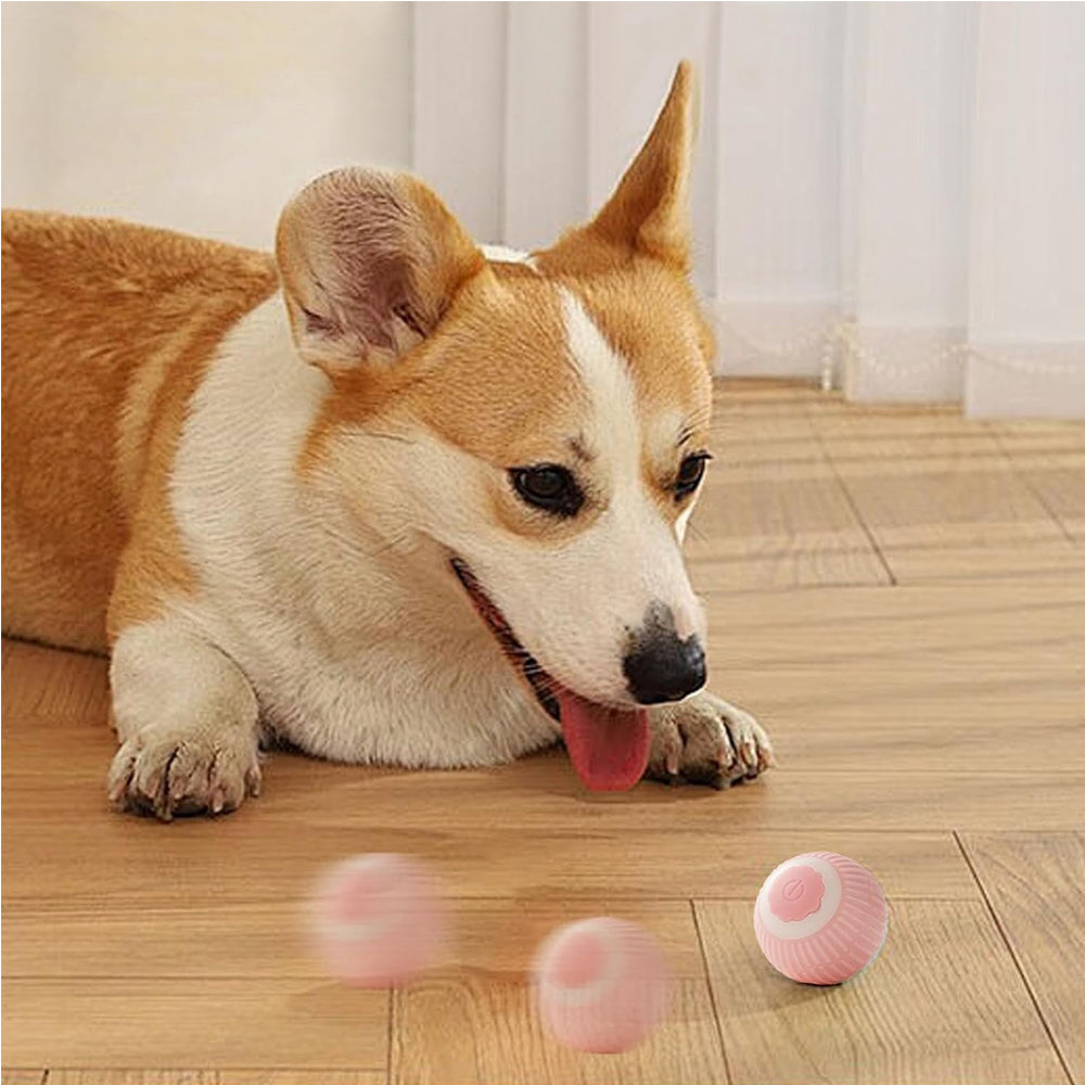 Self-Rolling Interactive Cat Ball, USB Rechargeable