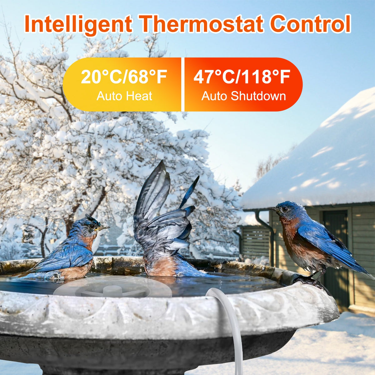70W Bird Bath Heater and De-Icer with Auto Shutdown