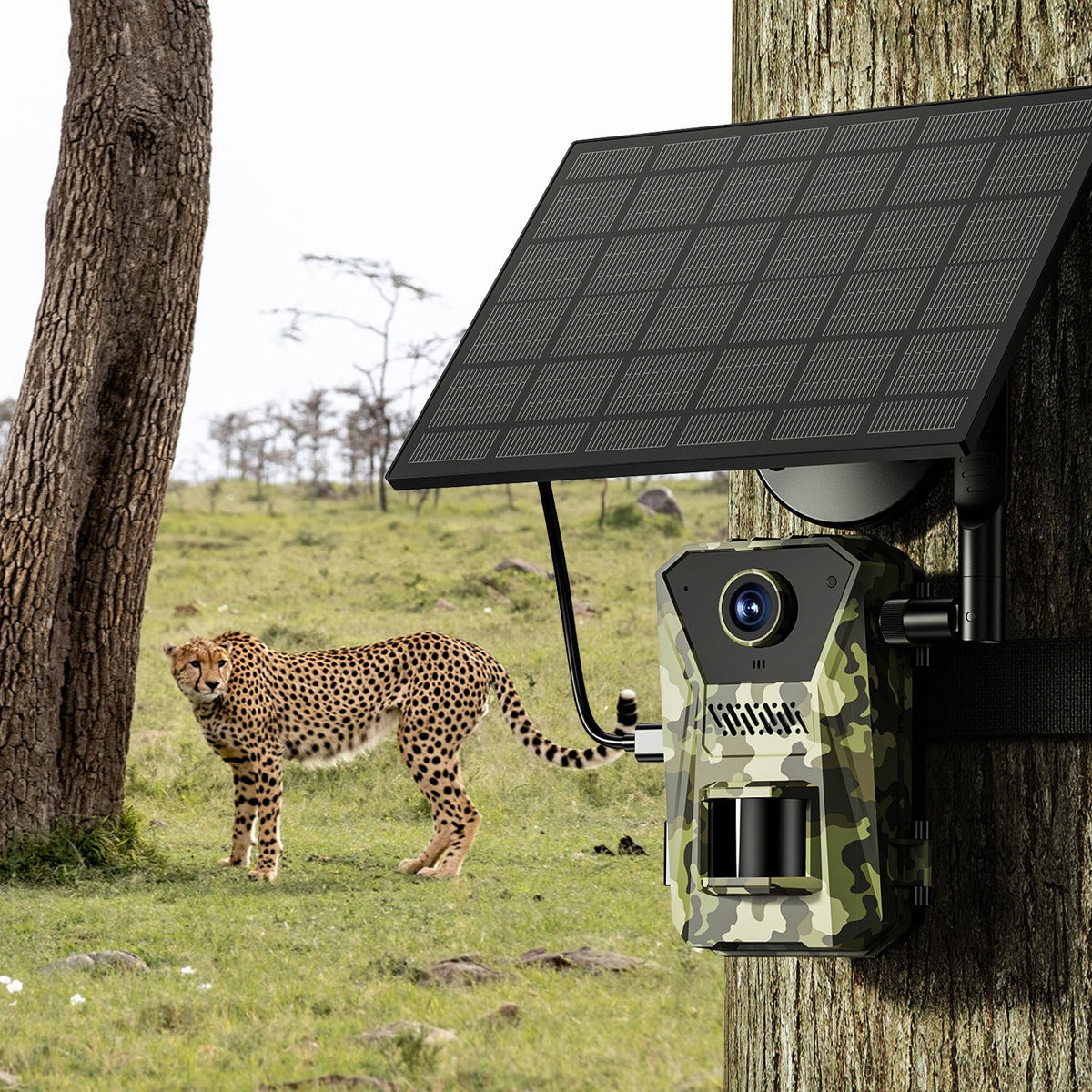 4G 4K Solar Trail Camera, Wildlife Outdoor