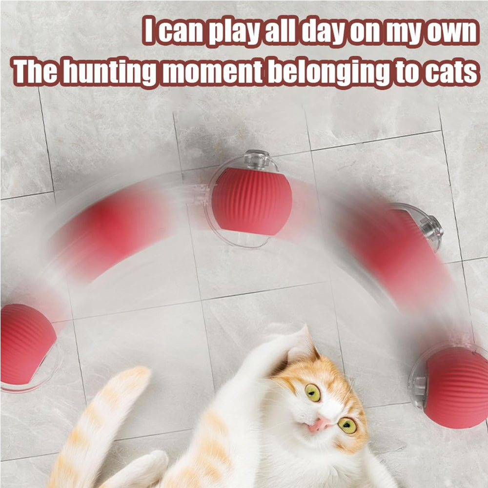 Interactive Rolling Cat Ball with Rope Tail