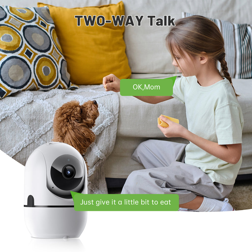 2-Way Audio PTZ WiFi Security Camera