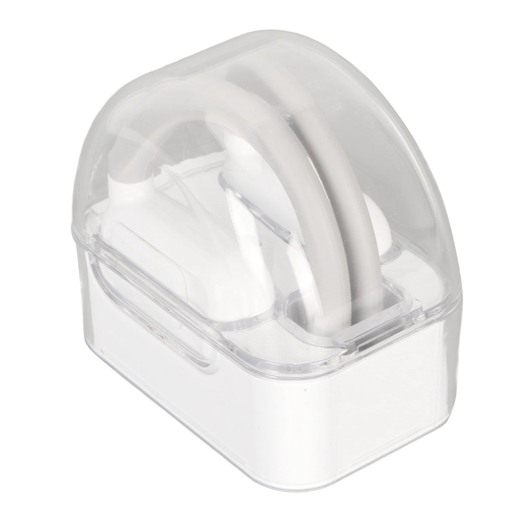 Language Translator Earbuds, 74 Languages