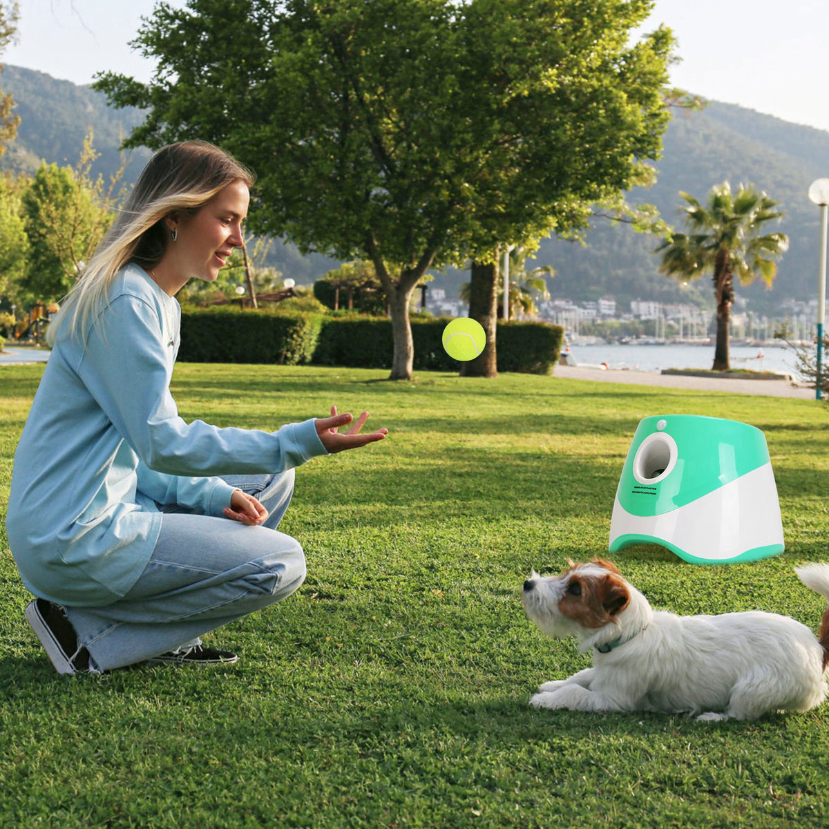 Automatic Dog Ball Launcher with 3 Distances and 6 Tennis Balls