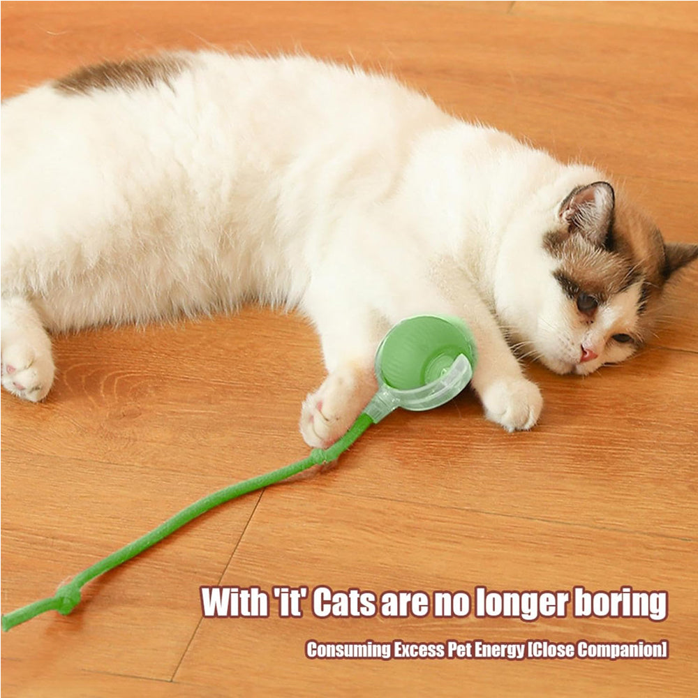 Interactive Rolling Cat Ball with Rope Tail