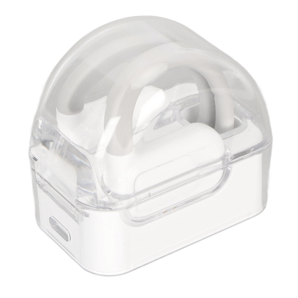 Language Translator Earbuds, 74 Languages