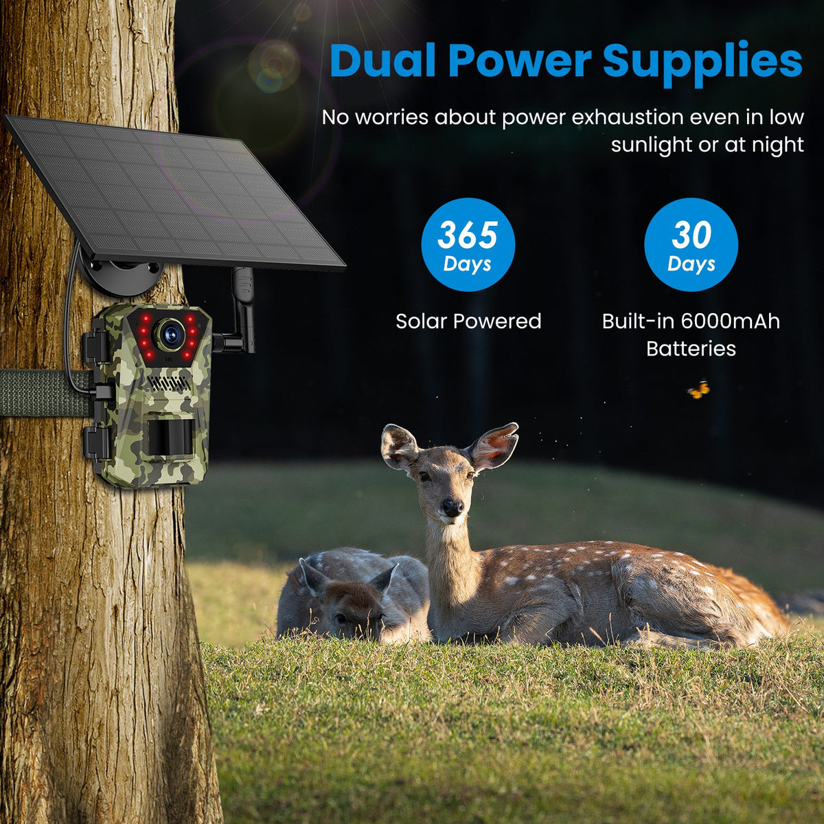 4G 4K Solar Trail Camera, Wildlife Outdoor