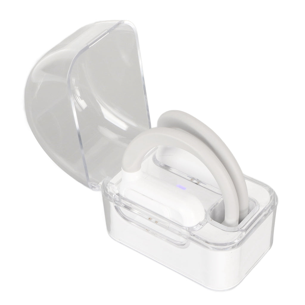 Language Translator Earbuds, 74 Languages