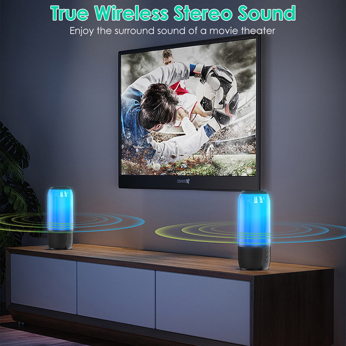 Portable Loud Stereo Speaker, Wireless