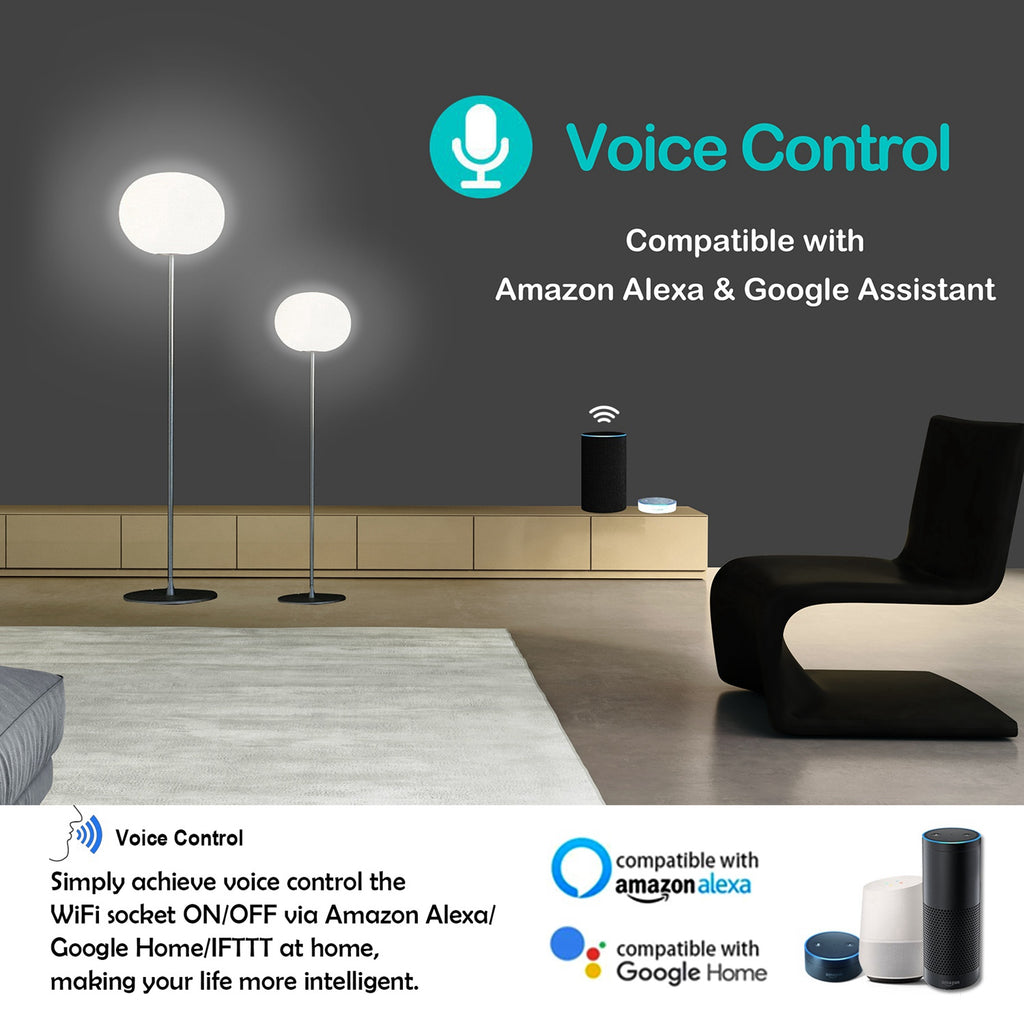 WiFi Smart Plug, App & Voice Control