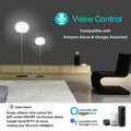 WiFi Smart Plug, App & Voice Control