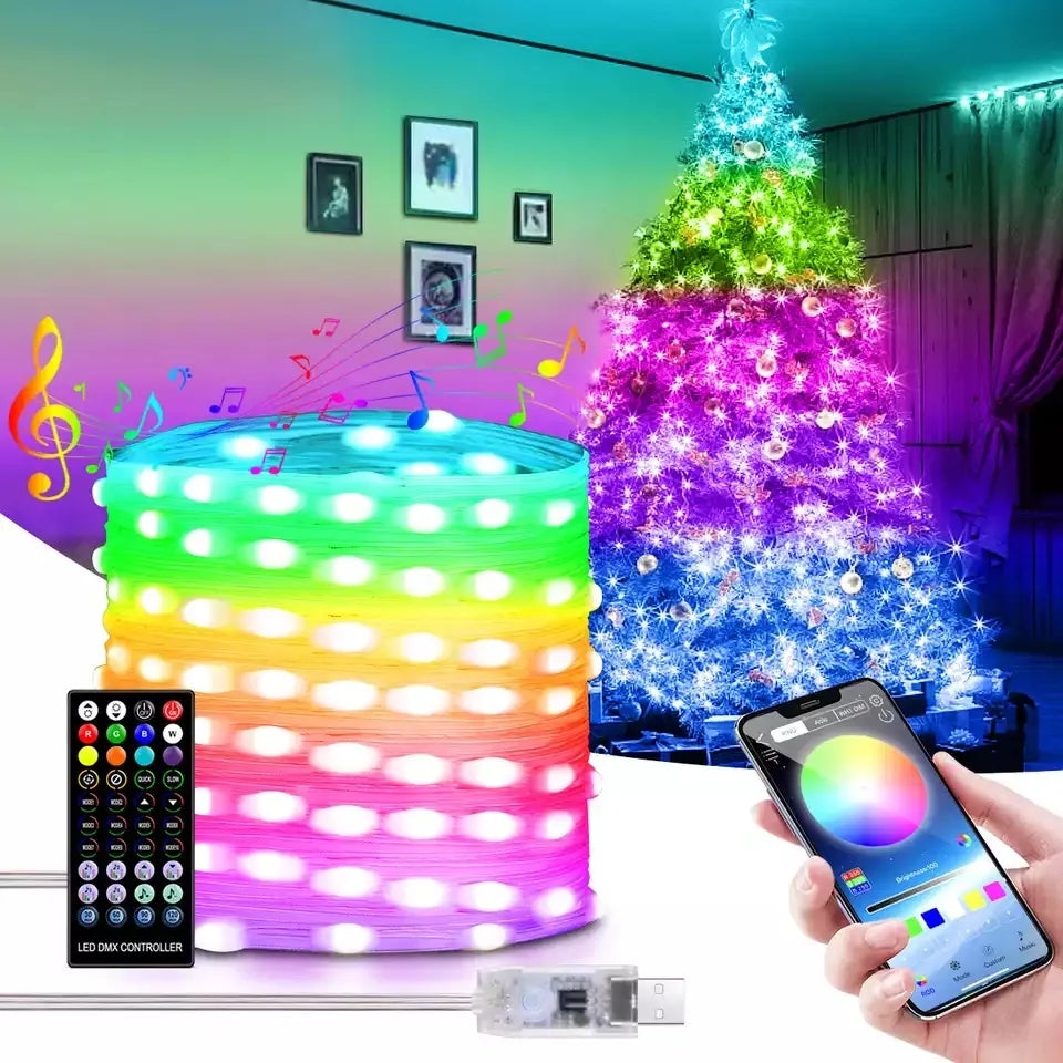 LED Rope Lights, RGB App & Remote