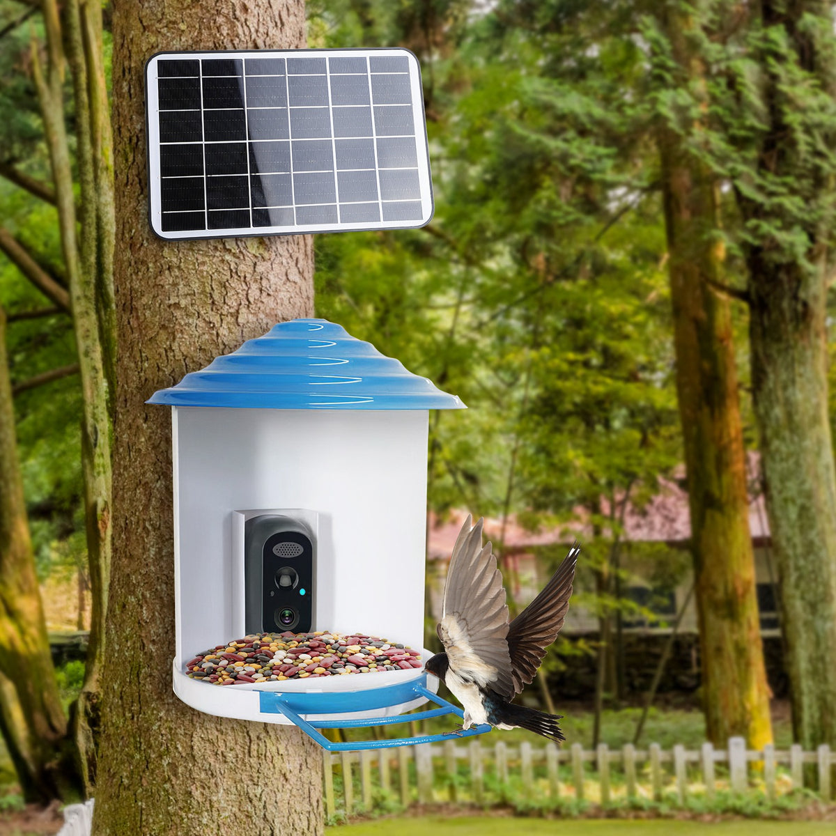 Solar Smart Bird Feeder with 1080P WiFi Camera and Night Vision