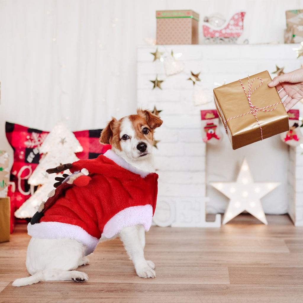 Santa Reindeer Dog Christmas Hoodie Costume