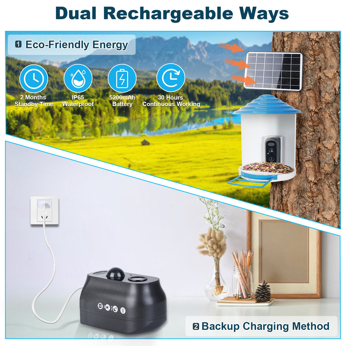 Solar Smart Bird Feeder with 1080P WiFi Camera and Night Vision