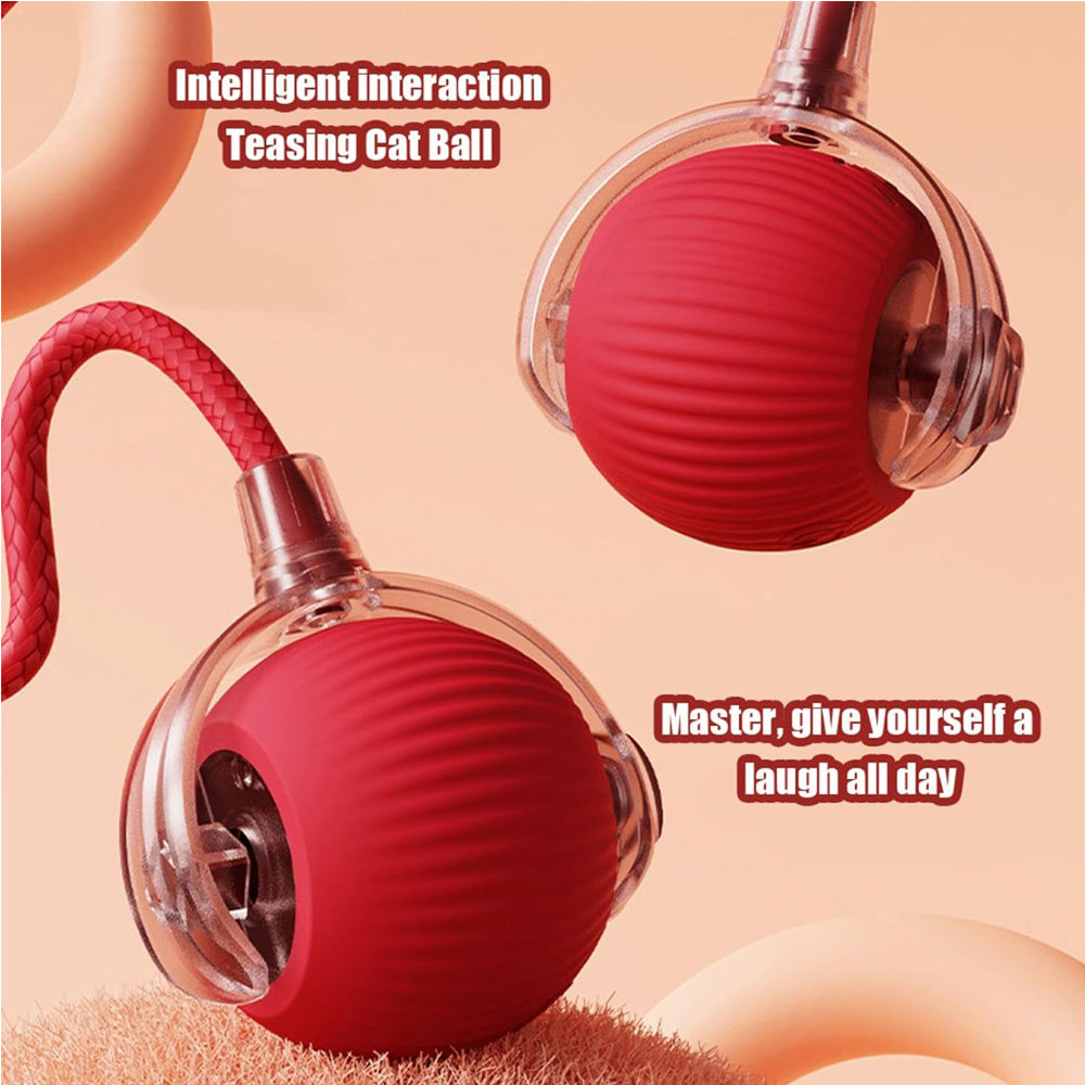 Interactive Rolling Cat Ball with Rope Tail