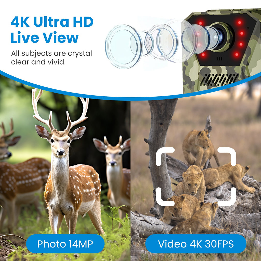 4G 4K Solar Trail Camera, Wildlife Outdoor