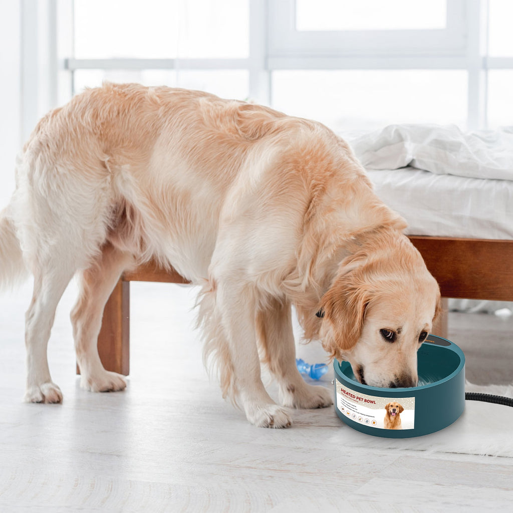 Heated Pet Water Bowl, 74 oz, Thermostatic
