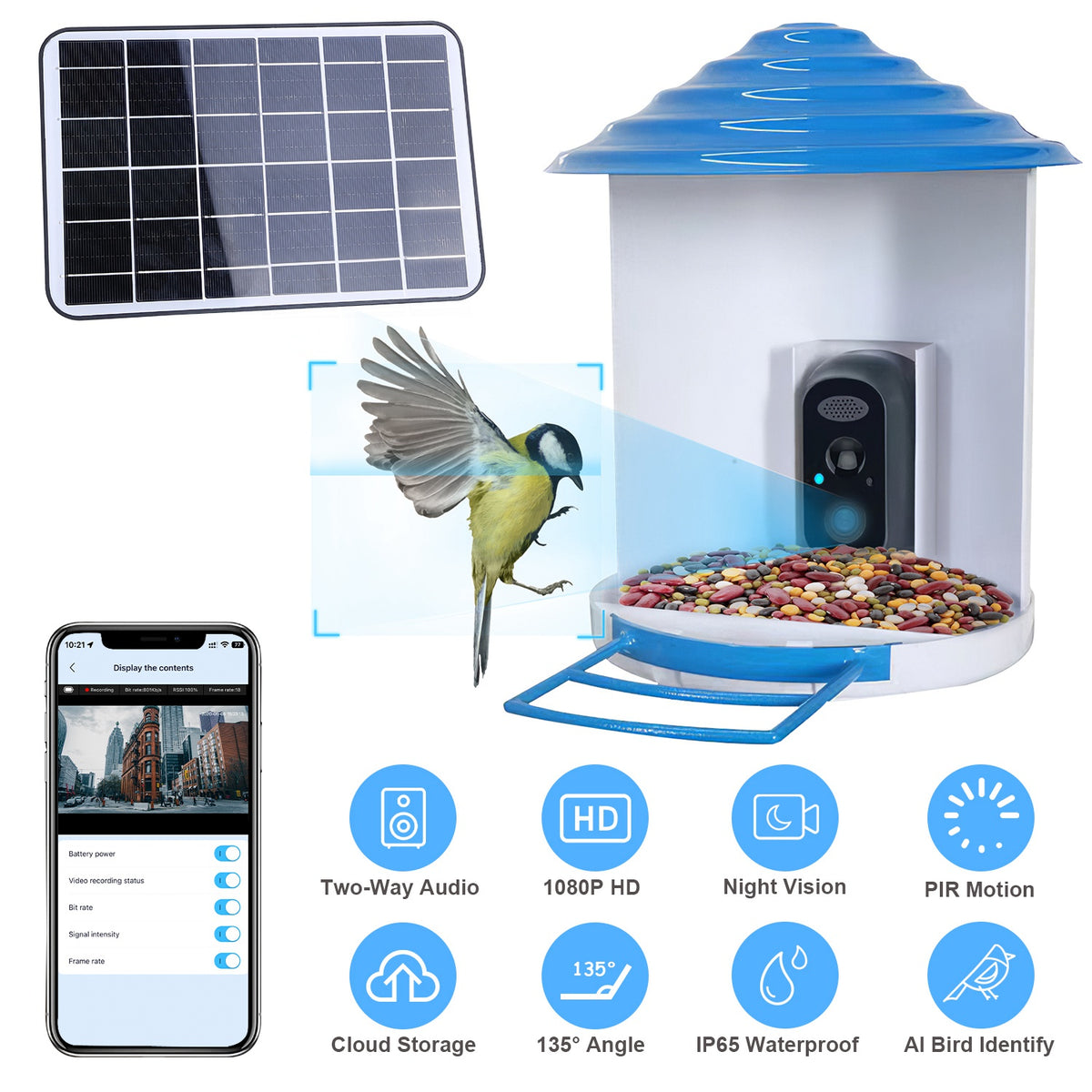 Solar Smart Bird Feeder with 1080P WiFi Camera and Night Vision