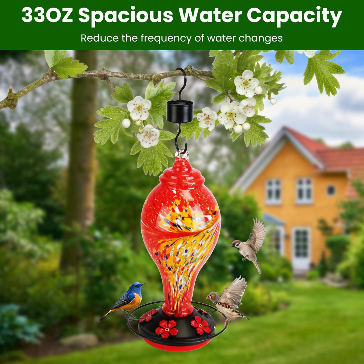 Hand Blown Glass Hummingbird Feeder, 33 oz, 5 Ports